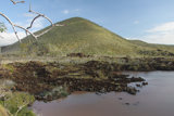 Floreana