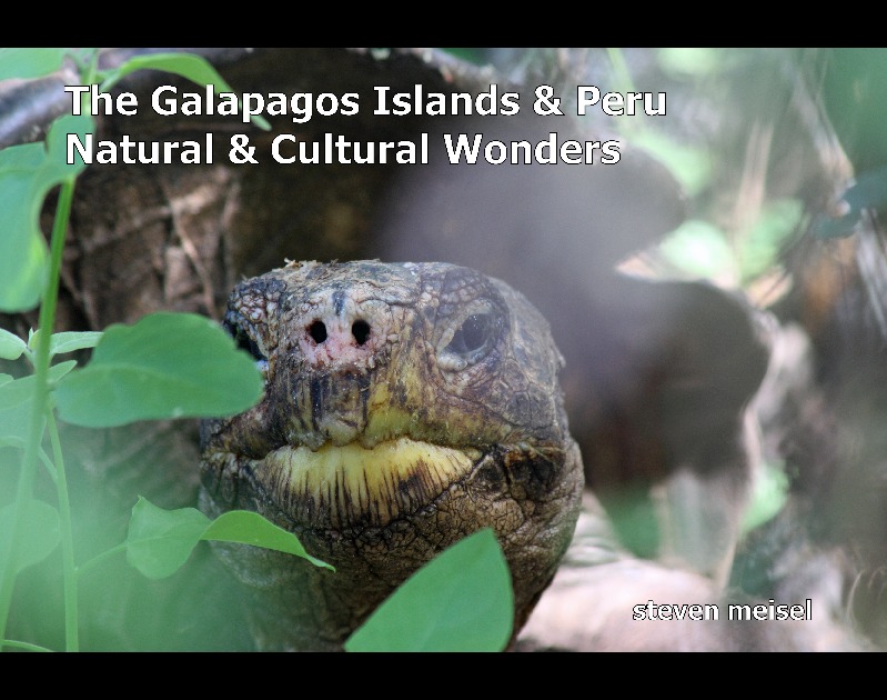 Galapagos & Peru