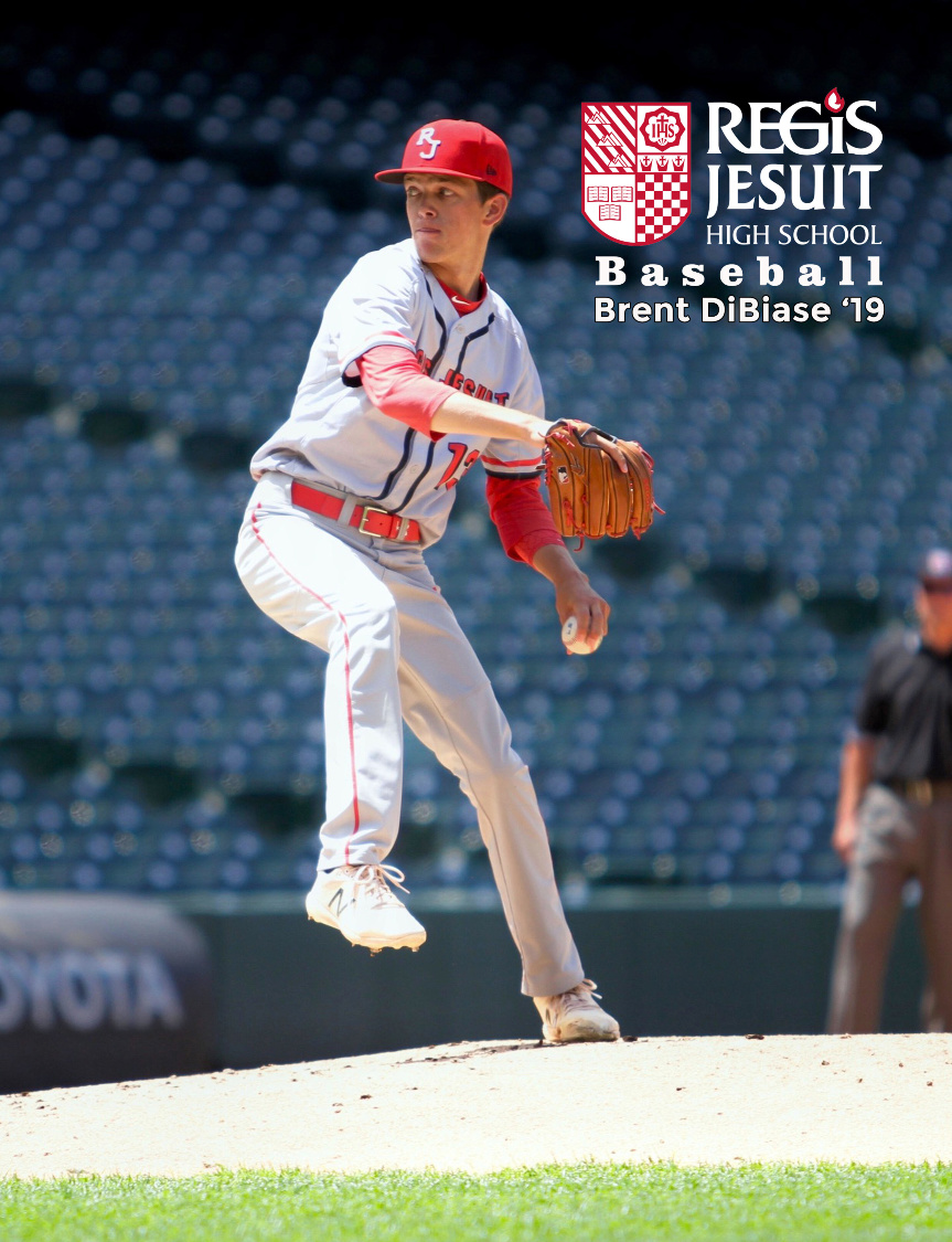 2019 Brent DiBiase Baseball Book