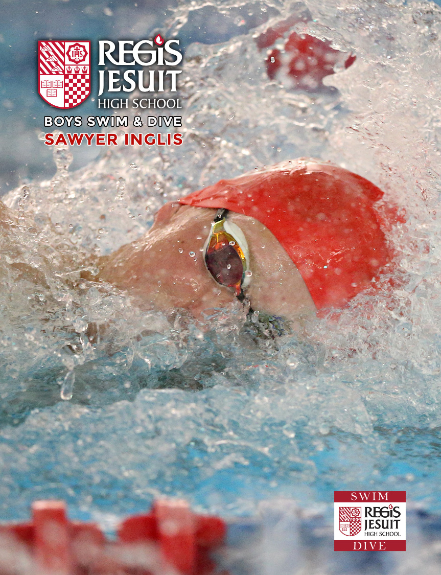 Sawyer 2019 Book