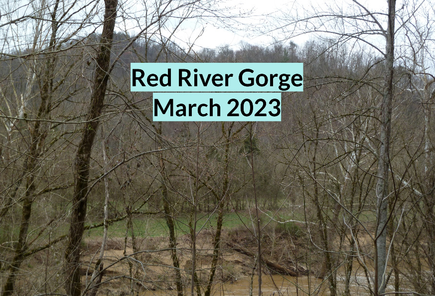 Photobook: Red River Gorge March 2023