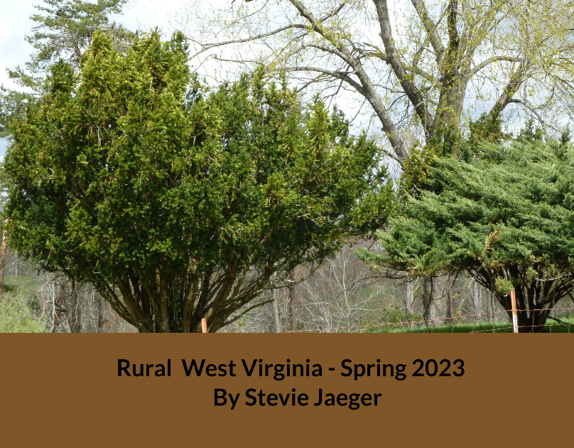 Photobook: Rural West Virginia Spring 2023 By Stevie Jaeger