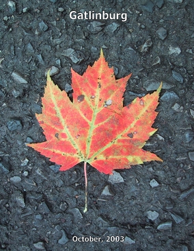 Gatlinburg 2003