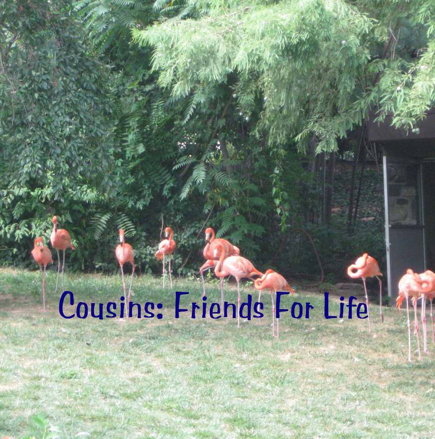 Cousins: Friends For Life