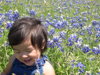 Bluebonnets in McKinney