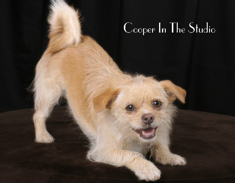 Cooper In The Studio