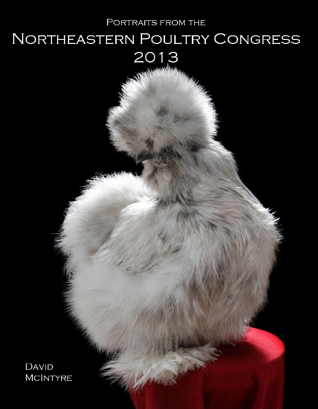 Northeastern Poultry Congress 2013 (KM)