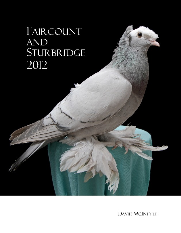 Faircount and Sturbridge 2012 JA