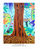 Ficus Monteverde page for catalogue