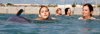 Swim with the Dolphins