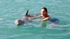 Swim with the Dolphins