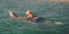 Swim with the Dolphins