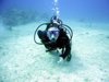 Scuba Diver