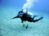 Scuba Diver