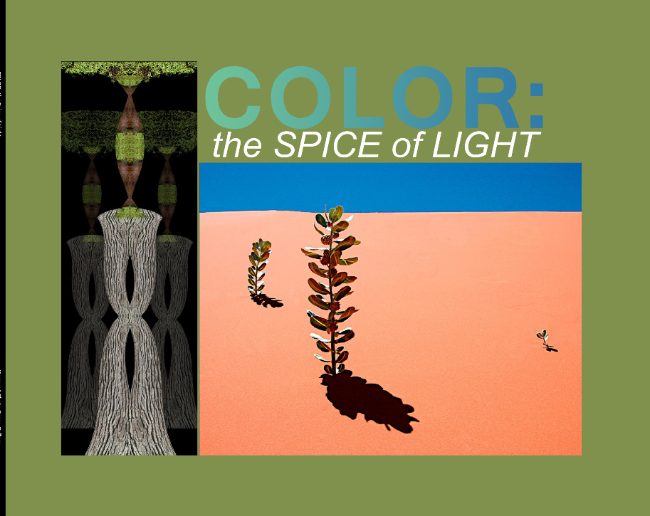 COLOR: the Spice of Light