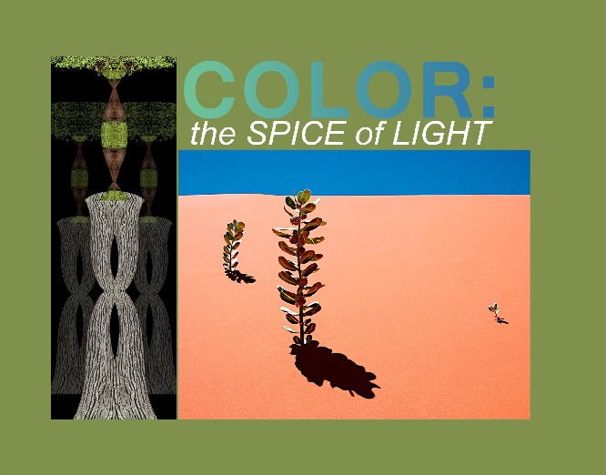 COLOR: the Spice of Light