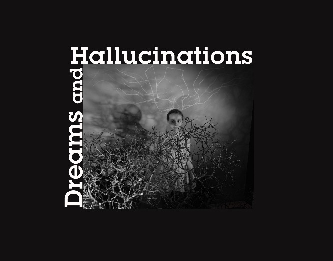 Dreams and Hallucinations