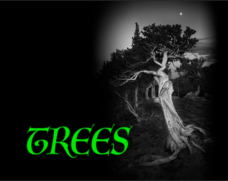 Trees