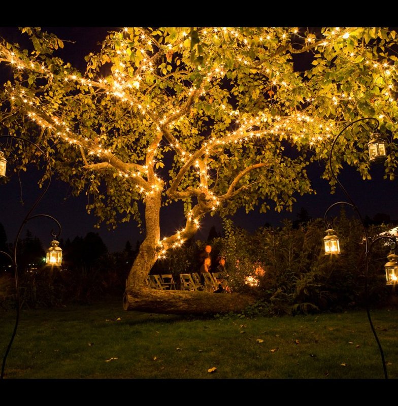 Bethany & Joe's Wedding