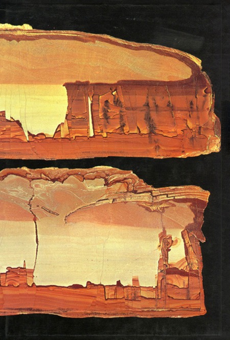 The Writing of Stones