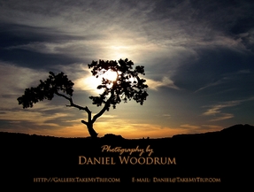 Photography by Daniel Woodrum