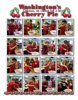 Washington's Cherry Pie, A