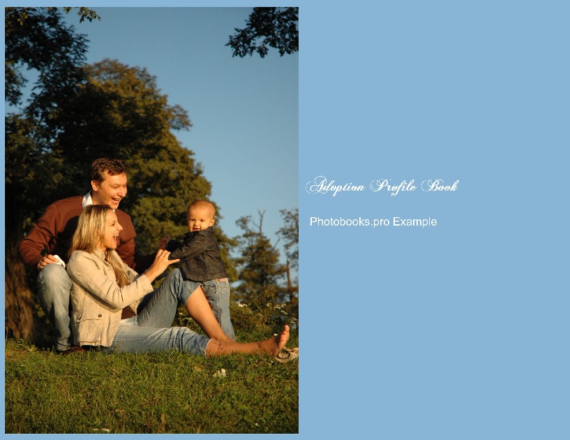 Generic Adoption Profile Book Example