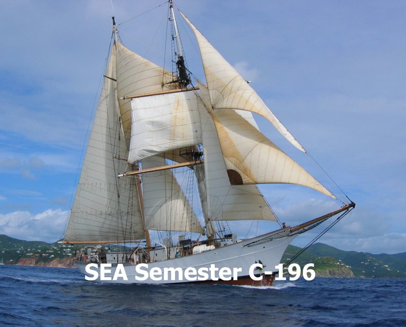SEA Semester C-196