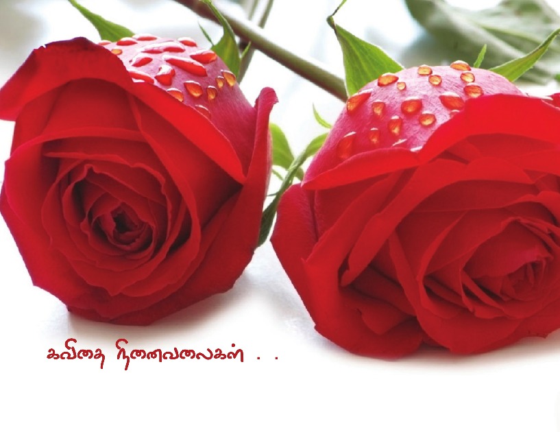 கவிதை நினைவலைகள் . .