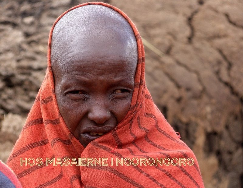 Hos Masaierne i Ngorongoro