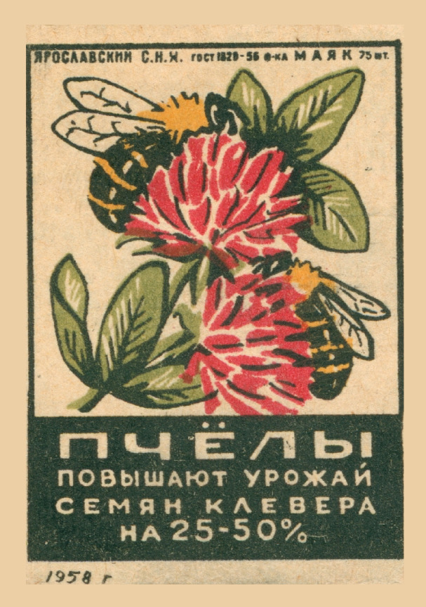 BEES