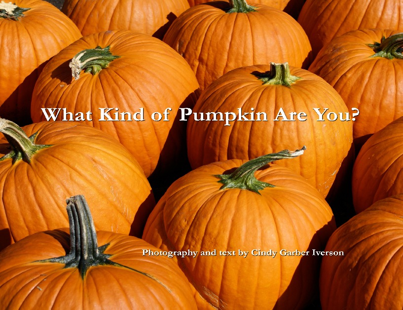 What Kind of Pumpkin Are You?