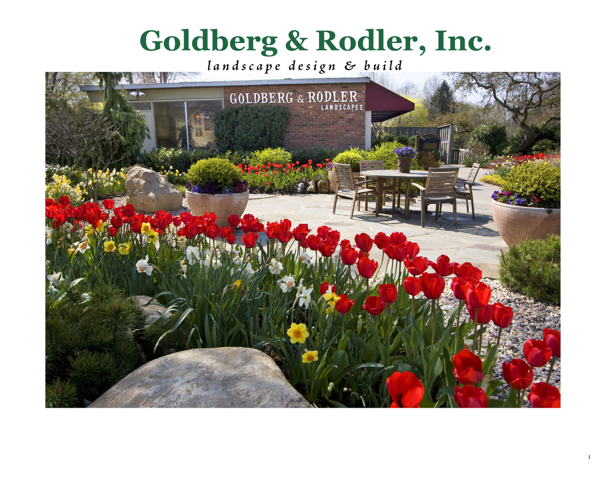 Goldberg & Rodler B#273a80