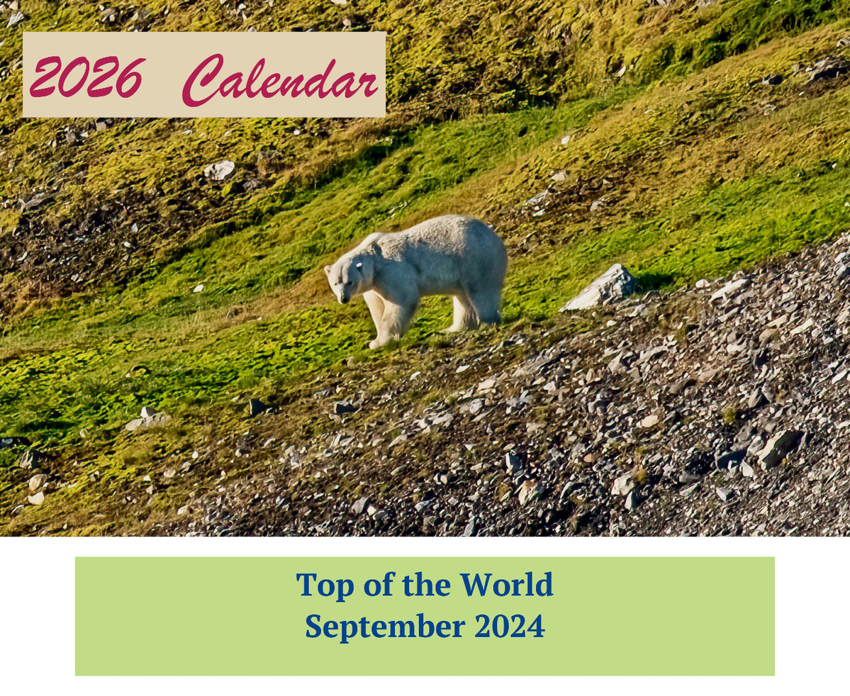 Top of the World 2024