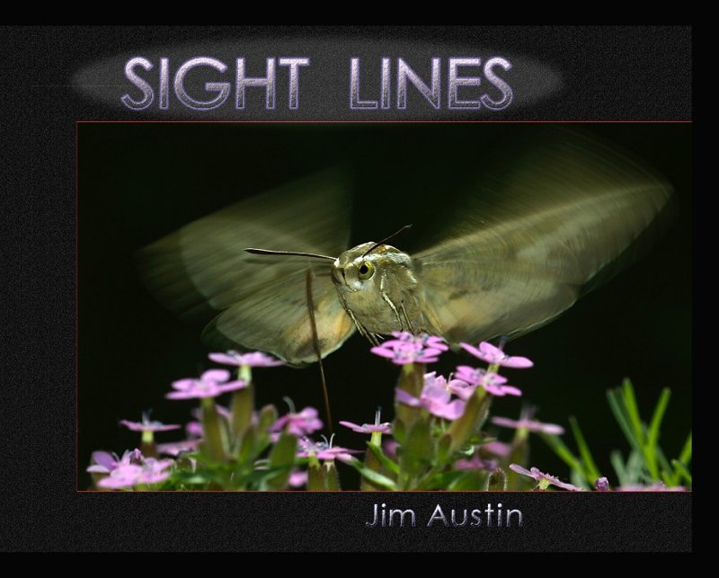 Sight Lines: Thinking in Pictures. - Adobe InDesign - PrestoPhoto