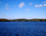 lakescene foliage