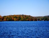 fall foliage