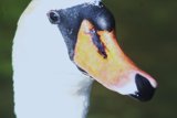 IMG 3551