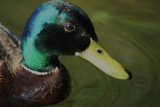 IMG 3517