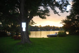 sunset through the trees