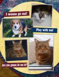 ANIMALS page