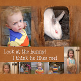 the bunny