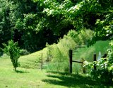 farmscene9x7