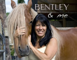 Bentley (27)
