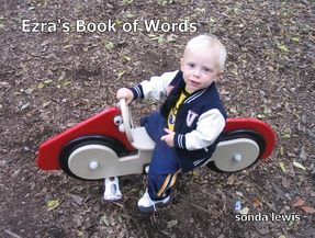 sonda lewis's Gallery