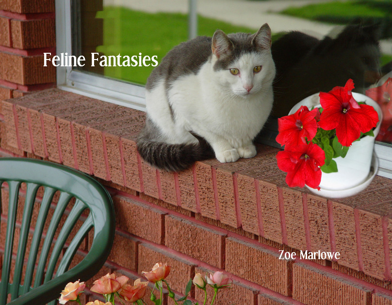 Feline Fantasies