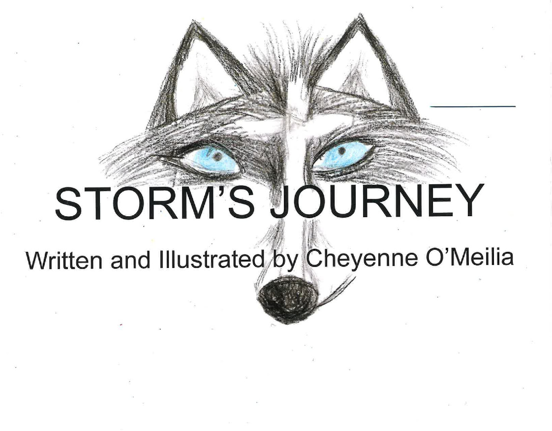Cheyenne O&#39;Meilia - Storm&#39;s Journey