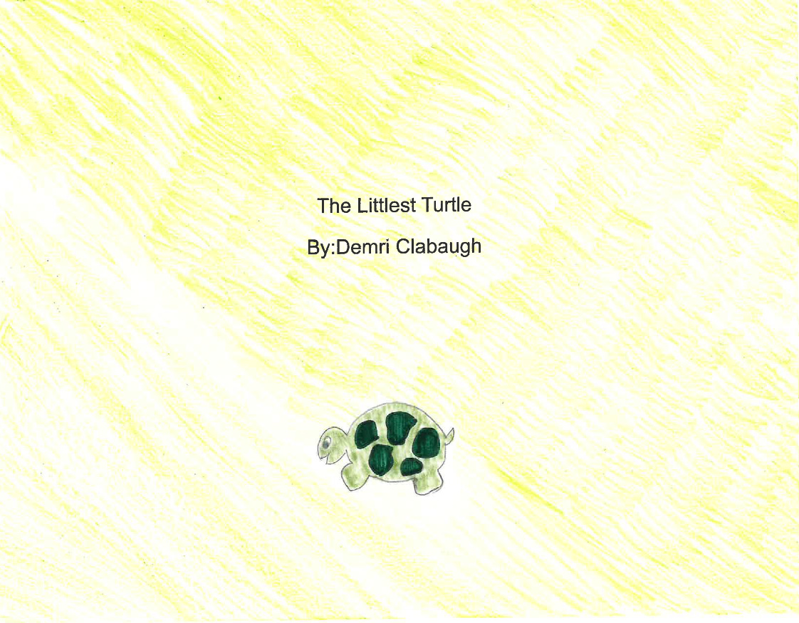 Demri Clabaugh - The Littlest Turtle