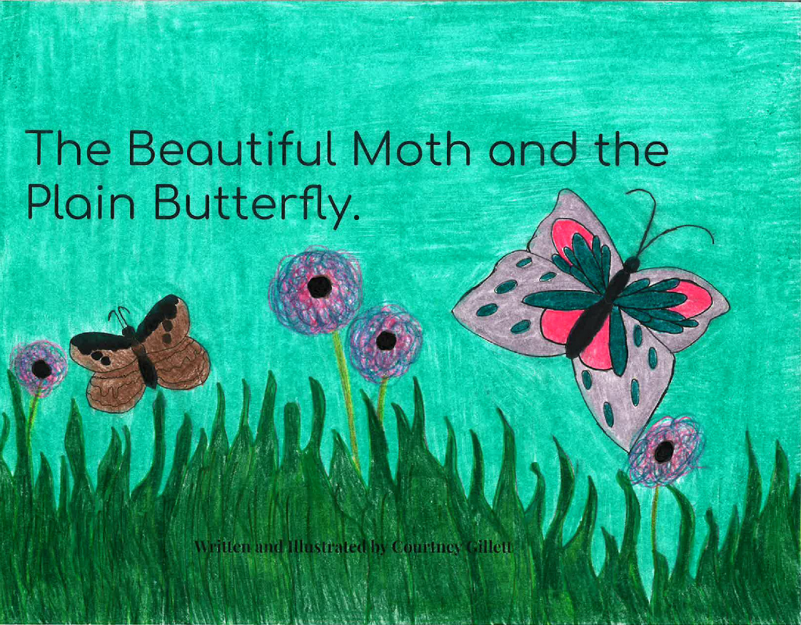Courtney Gillett - The Beautiful Moth and the Plain Butterfly