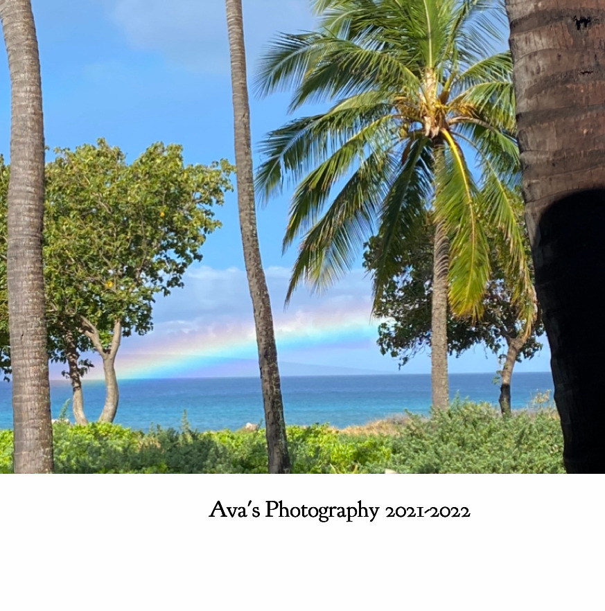 Ava&#39;s Photography Book